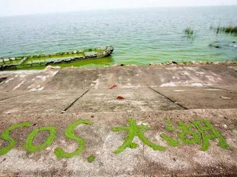 太湖變成為百億治污的中國式治污標(biāo)本